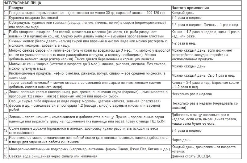 Можно ли давать котенку гороховый суп