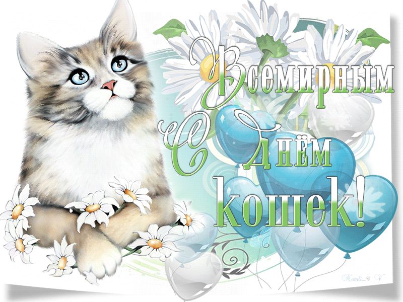 Всемирный день кошки и кота: какого числа отмечают в россии и в других странах - 1 марта или 8 августа, как проходит международный праздник