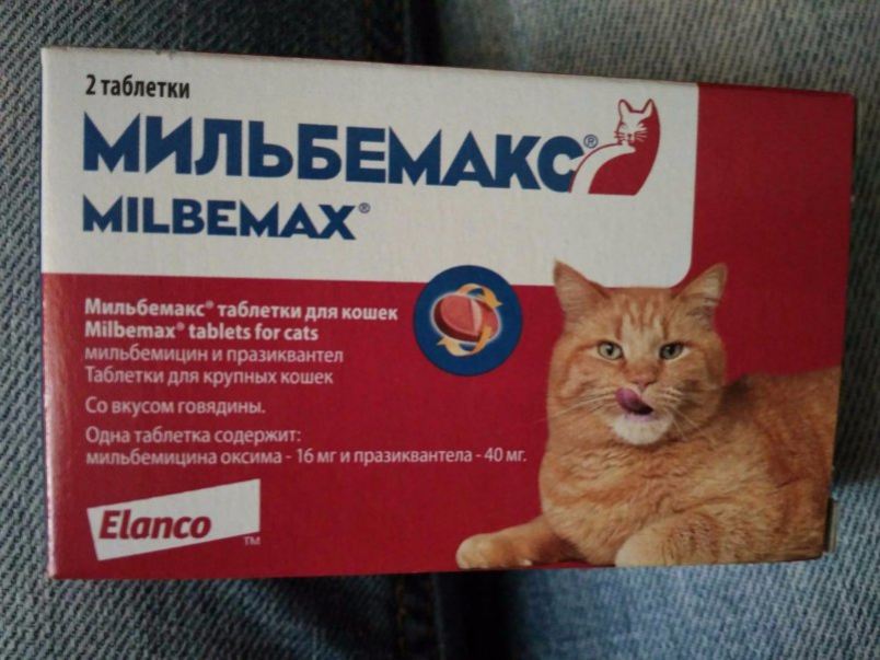 Мильбемакс для кошек инструкция по применению