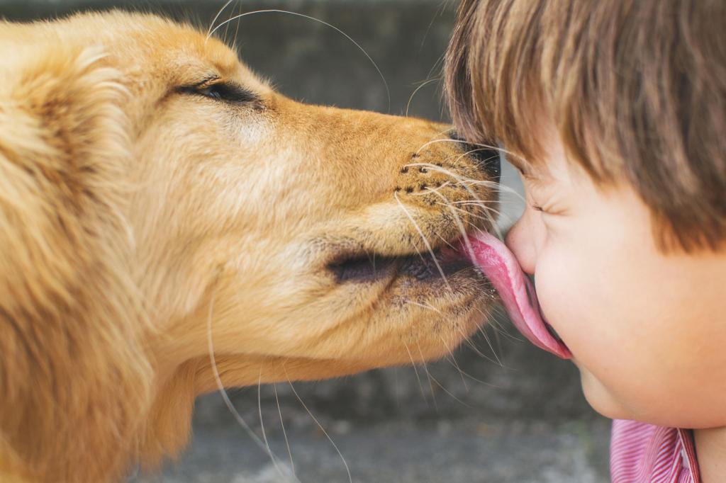 Почему собака высовывает язык как змея. почему собака высовывает язык: нормально ли это? причины, которые не связаны с болезнями