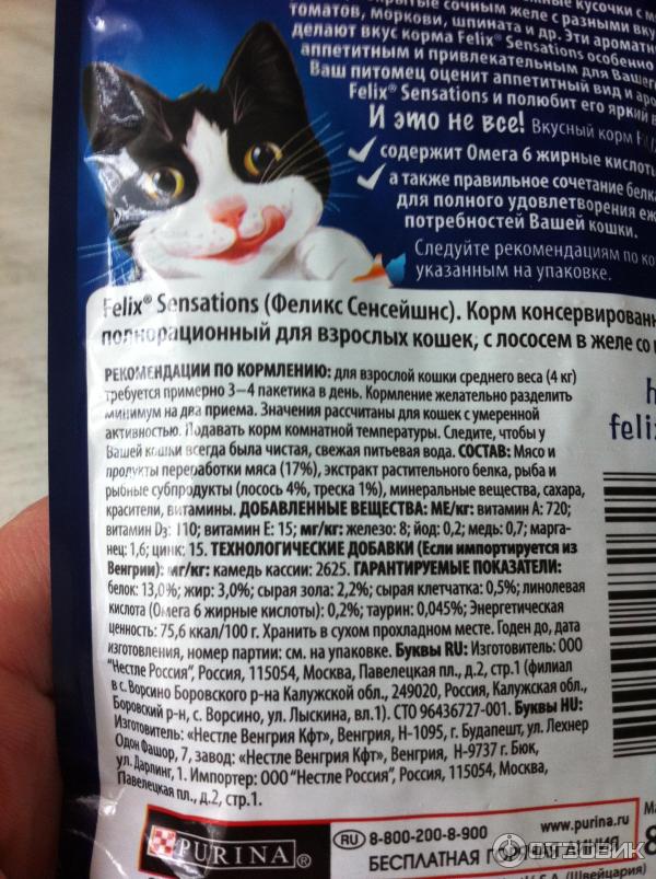 Влажные корма для кошек: обзор, производители, рейтинг по качеству, отзывы ветеринаров - animallist.ru