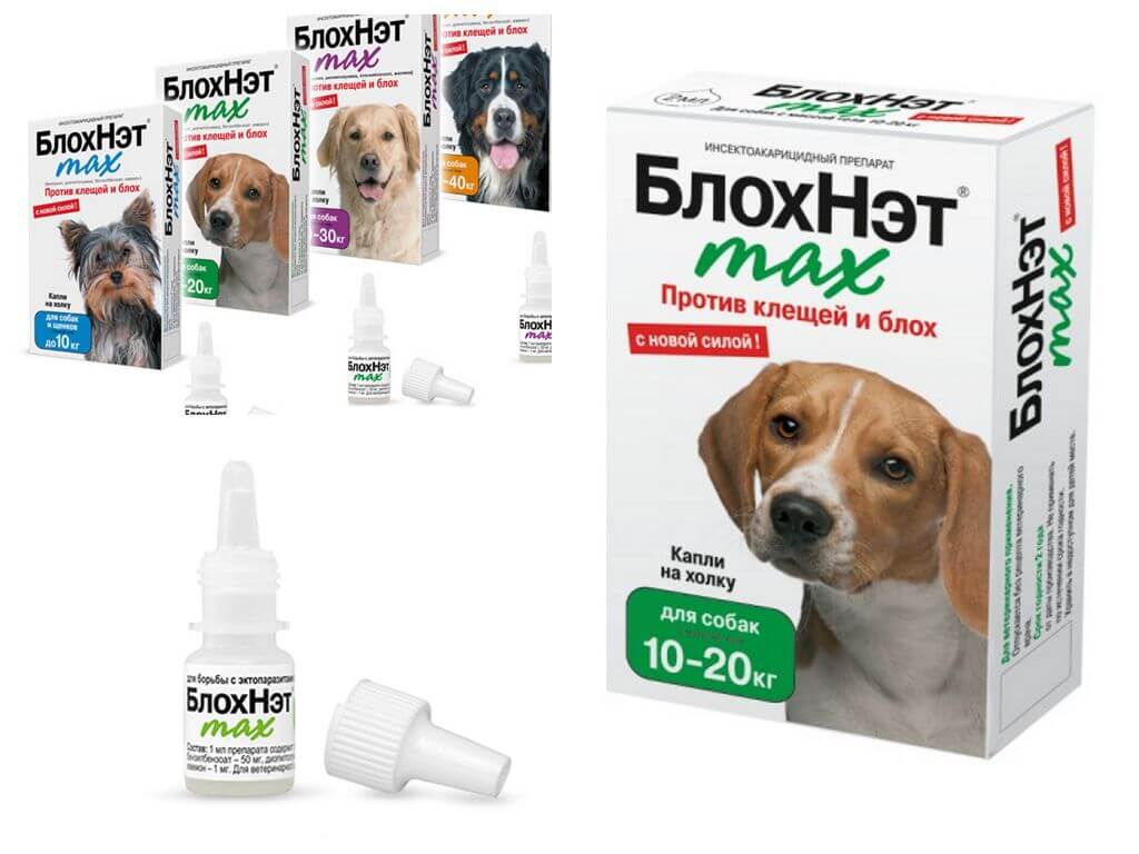 Капли от блох для собак всех пород. как избавиться от паразитов: лечение, обработка собак от блох | нвп «астрафарм»