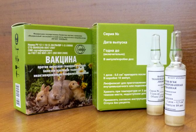 Вгбк (вакцина от геморрагической болезни кроликов)  | отзывы о применении препаратов для животных от ветеринаров и заводчиков