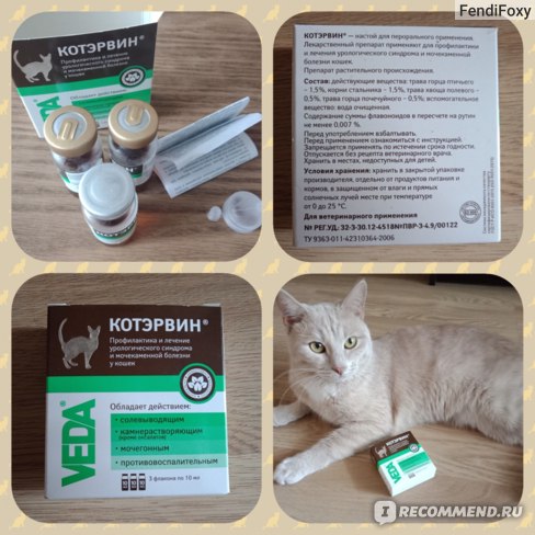 Капли котэрвин для котов: состав, инструкция по применению, отзывы - kotiko.ru