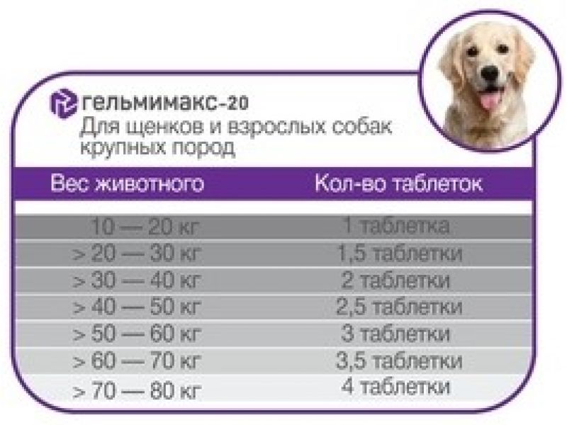 Гельмимакс для собак: показания и инструкция по применению, отзывы, цена