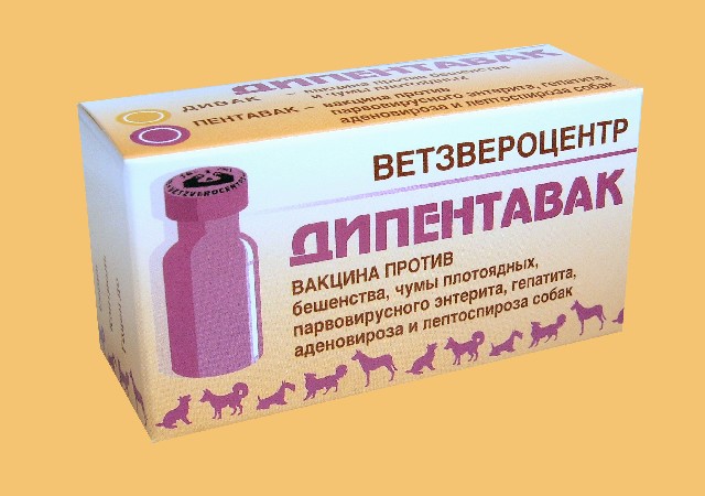 Вакцина для собак дипентавак, 1 доза из двух компонентов: сухого – «дивак» и жидкого – «пентавак»