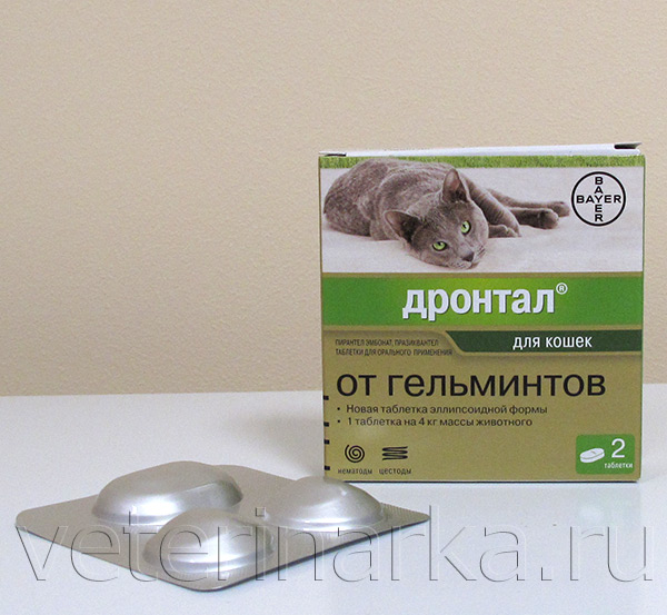 Дронтал для кошек, антигельминтный препарат