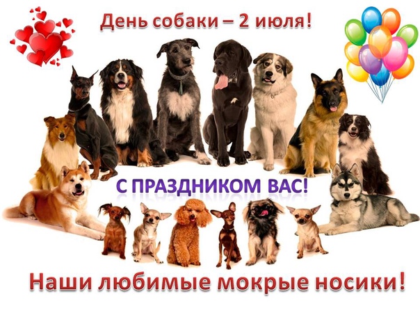 Всемирный день собаки 2021