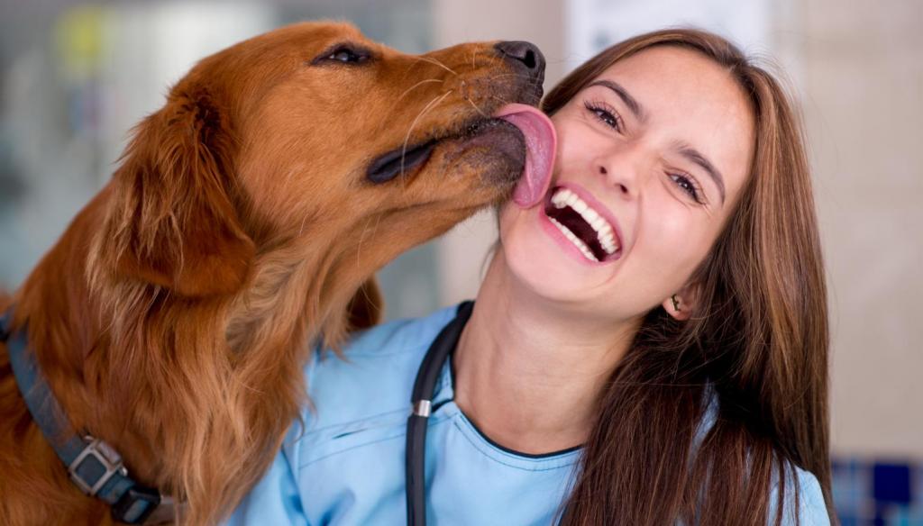 Почему собака облизывает хозяина и можно ли целоваться с собакой | hill's pet
