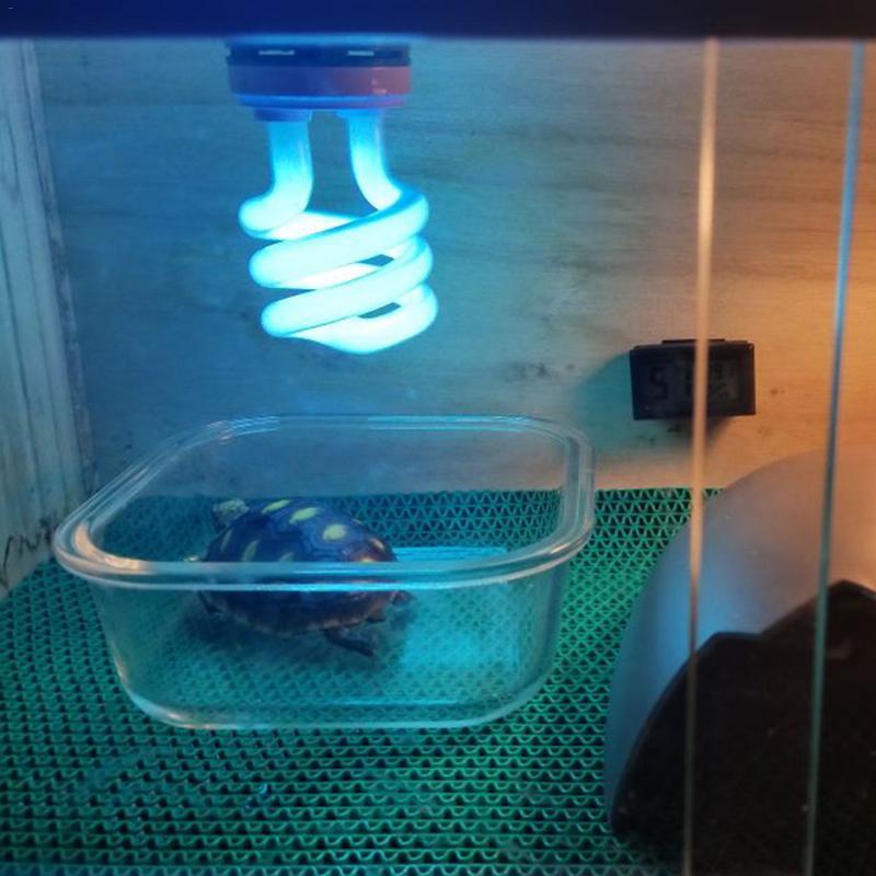 Как выбрать и использовать ультрафиолетовую лампу для красноухих или сухопутных черепах