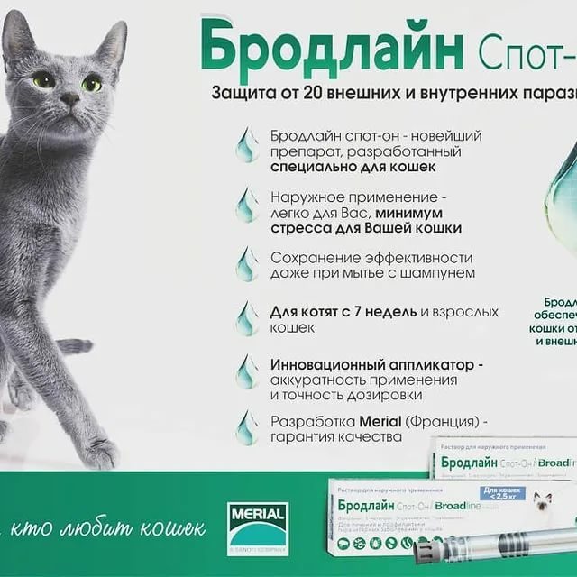 Бродлайн спот-он для кошек – полная защита от паразитов