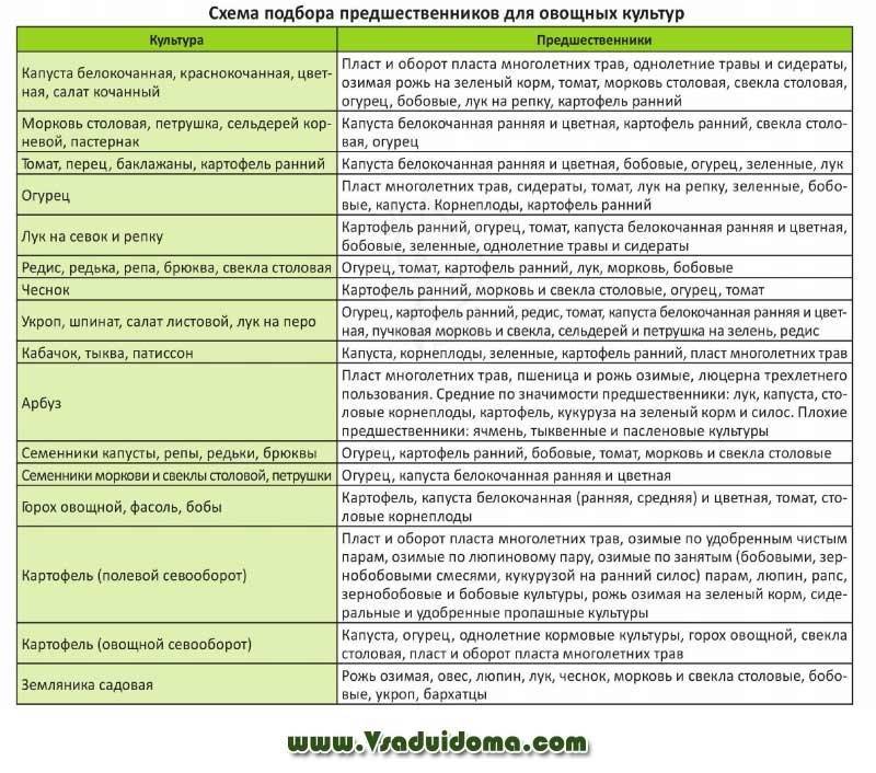 Овощные севообороты с томатом