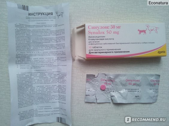 Антибиотик марфлоксин 2% 10% для кошек и собак