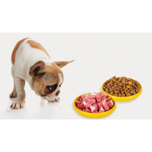 Как перевести собаку с сухого корма на натуральное питание ⋆ собакапедия