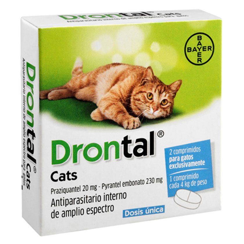 Дронтал для кошек: инструкция по применению, описание, состав, дозировка