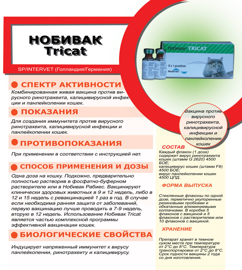 Нобивак рабиес для кошек: инструкция по применению, цена вакцины, отзывы