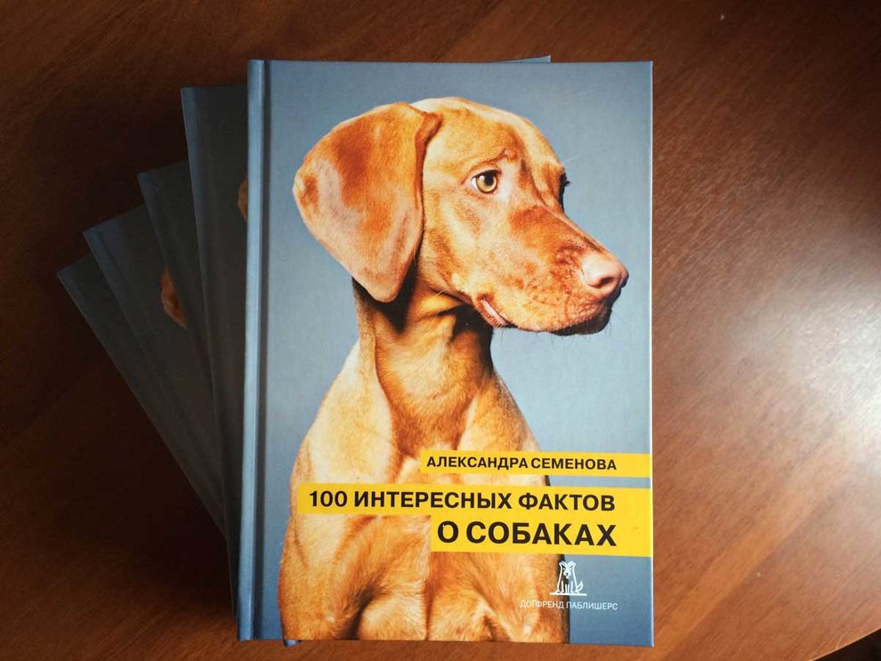 100 интересных, удивительных и необычных фактов о собаках со всего мира: перечень