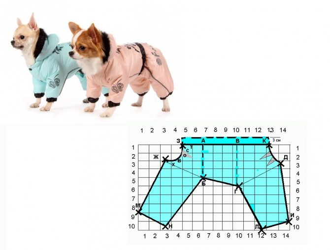 Вязаная одежда для маленьких собак — схемы спицами. как правильно снять мерки с собаки для вязания одежды? вязаная одежда для собак — как рассчитать плотность вязки и зачем это нужно делать?