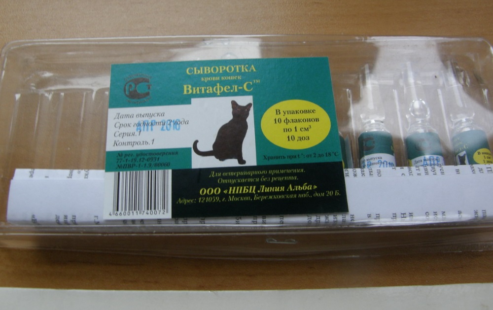 Препарат витафел для кошек, особенности применения