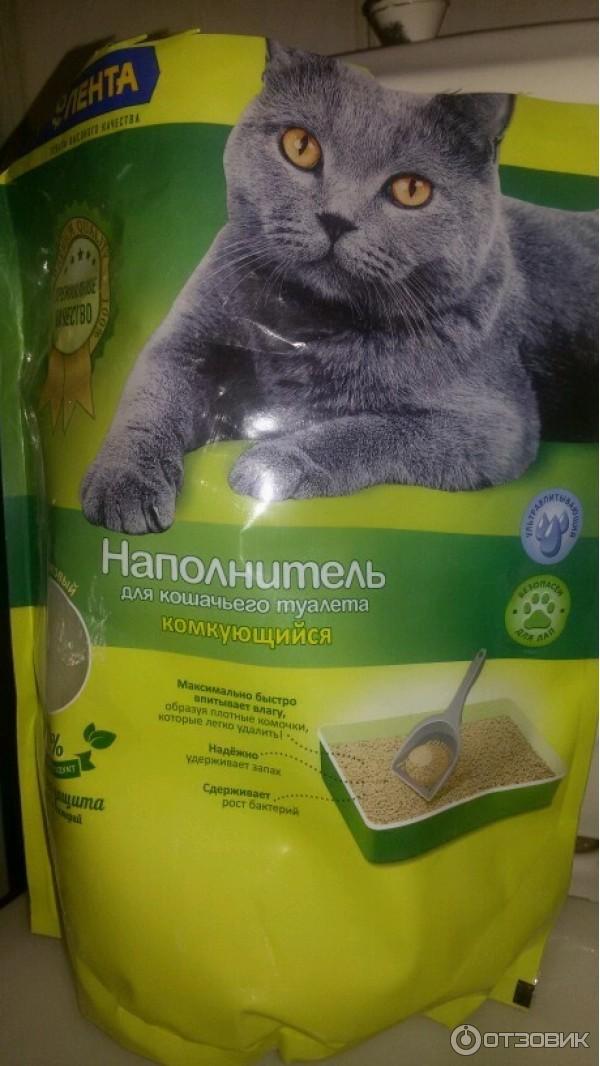 Полное руководство по выбору наполнителя для кошачьего туалета