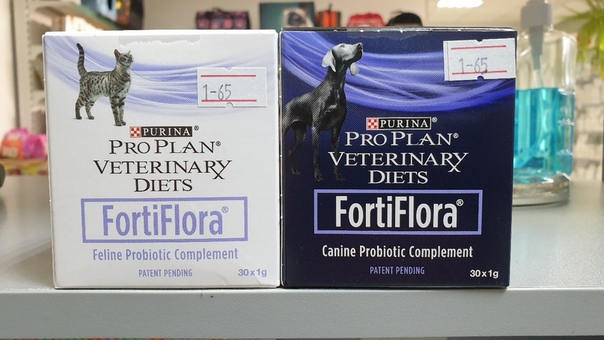 Инструкция по применению пробиотика для кошек «фортифлора» от «пурины»