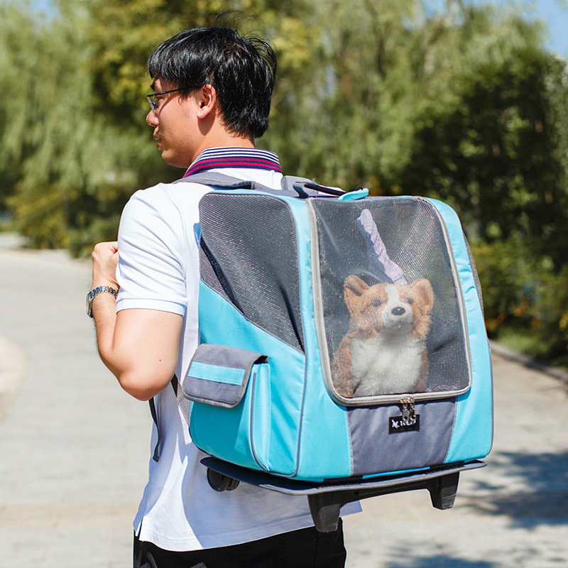 Насколько удобна и нужна ли сумка-переноска для собак