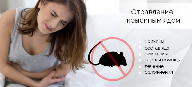 Что надо знать об отравлении собаки крысиным ядом, симптомы, лечение и последствия
