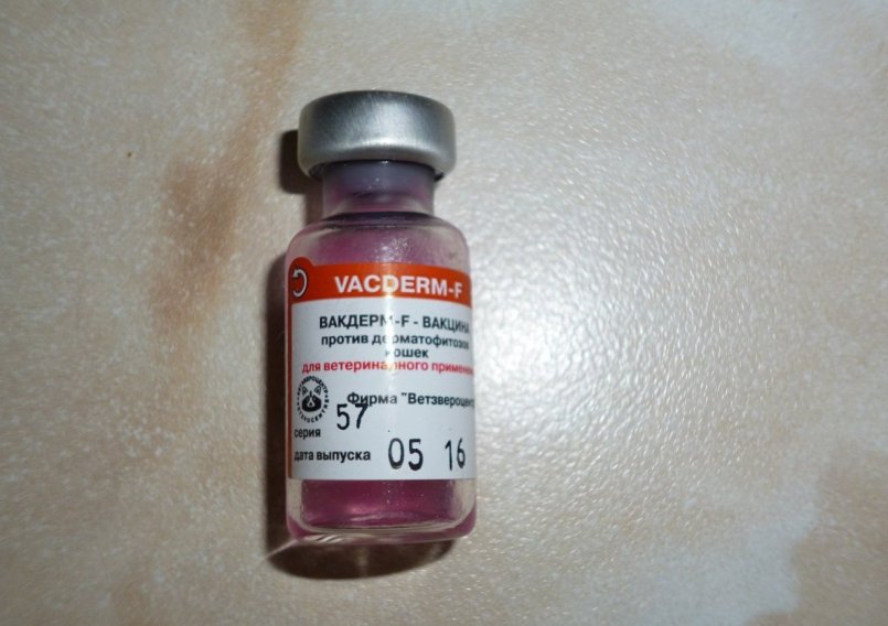 Вакдерм вакцина для собак и кошек от лишая и вакцина вакдерм-f для кошек