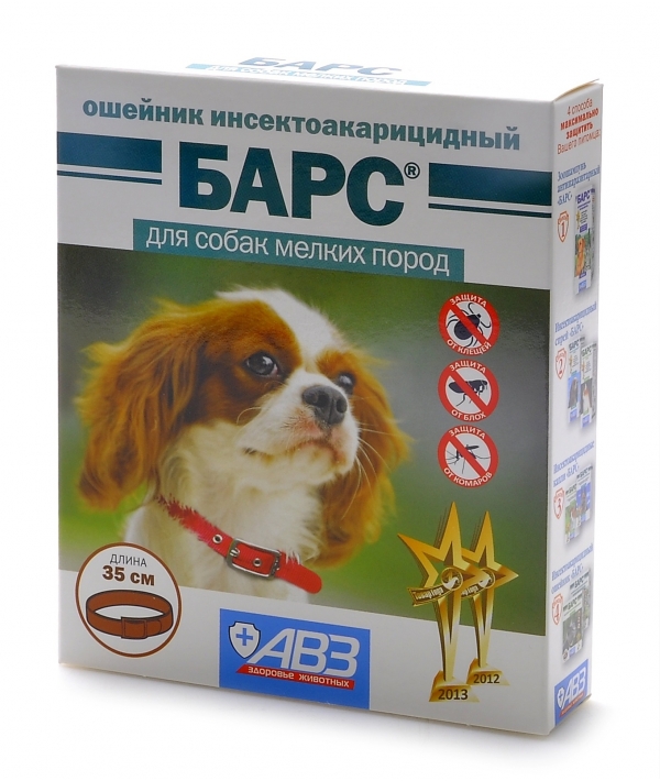 Ошейник от блох и клещей для собаки: разновидности и правила выбора, противопоказания, оценка эффективности, обзор популярных марок, отзывы