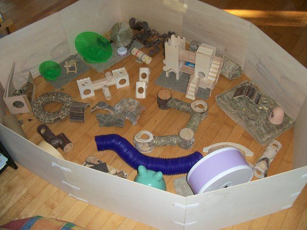Лабиринт для хомяка из пластиковых бутылок — игрушки для грызунов своими руками