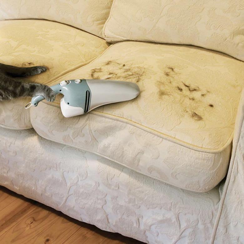 Диван воняет. Шерсть на диване. Шерсть в квартире от животных. Кот на диване. Шерсть на диване от кота.