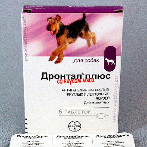 Топ-21 средство от глистов для собак
