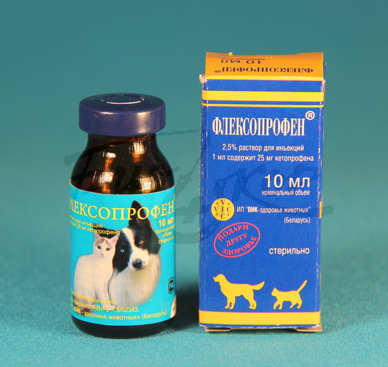 Как колоть флексопрофен для кошек - zhivomag
