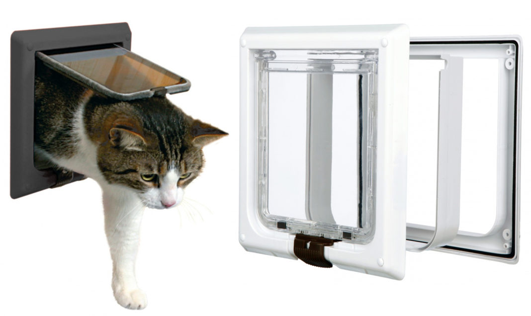 Как сделать правильный выбор дверцы для кошки без лишних хлопот - мир кошек