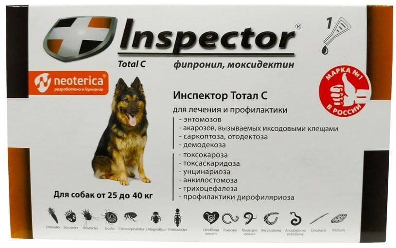 Инспектор для кошек - отзывы, цена, инструкция по применению препарата