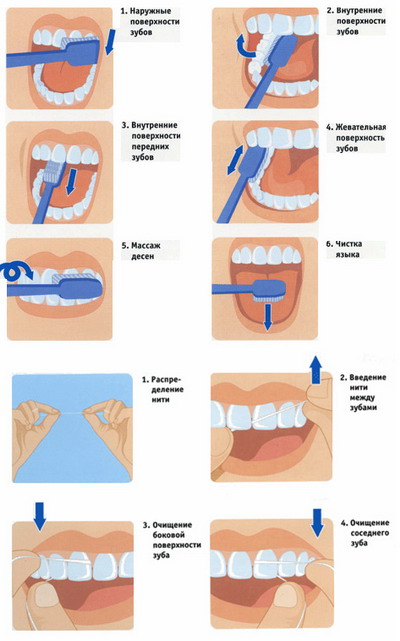 Как чистить зубы электрической зубной щеткой – основы и правила, с пастой и без