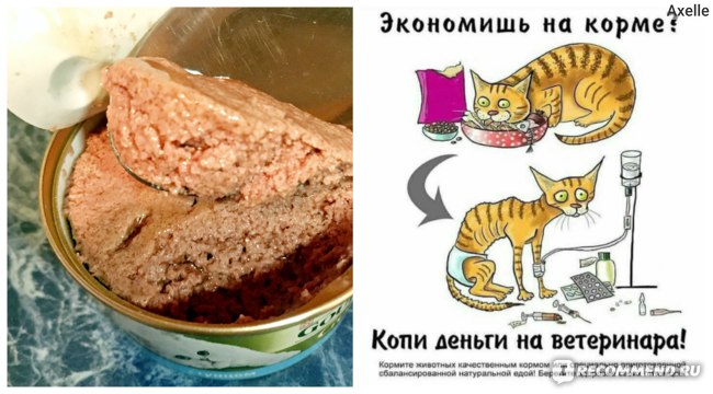 Полный обзор корма «гурмэ» для кошек