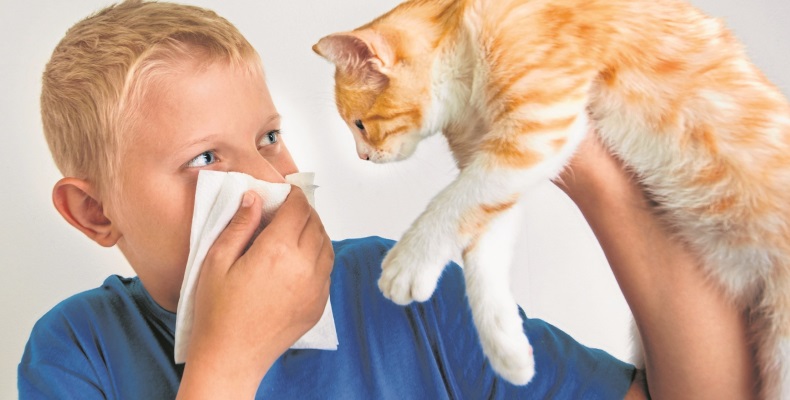 Будь здоров: что такое аллергия и как с ней бороться