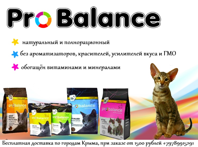 Корм для кошек probalance: отзывы и разбор состава