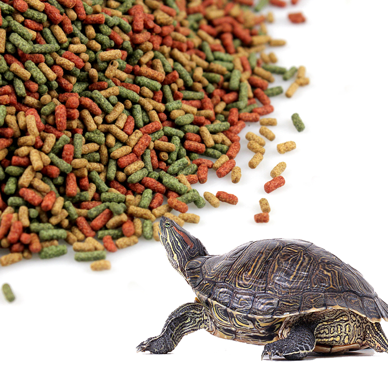 Чем кормить красноухую черепаху. составляем рацион