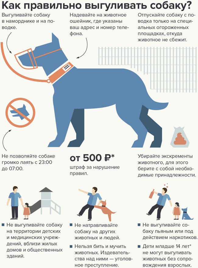Статьи какого закона определяют ответственность за выгул собаки без намордника и поводка – коап или иного?