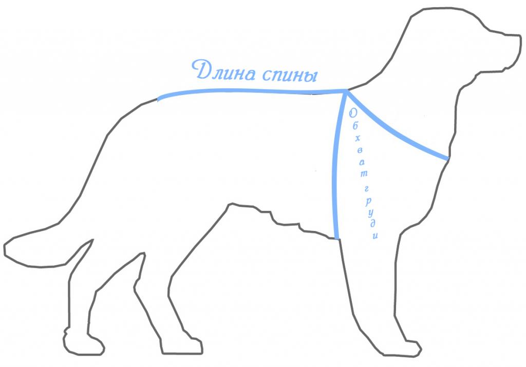 Шлейка для собак схема