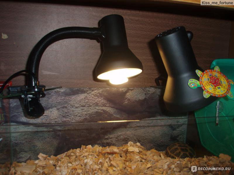 Уф лампа jbl reptil desert uv 23 w для сухопутных и водоплавающих черепах. какую уф лампу выбрать для красноухой черепахи?