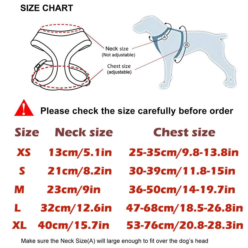 ᐉ порода собак длиношерстной чихуахуа: описание, уход, цена и фото щенков - zoovet24.ru