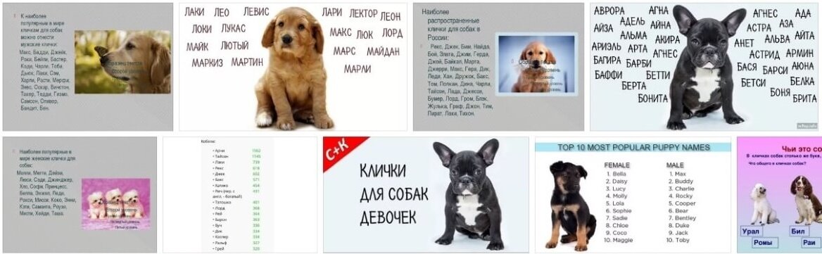 Русские клички для собак: простые красивые и старинные собачьи имена для мальчиков и девочек
