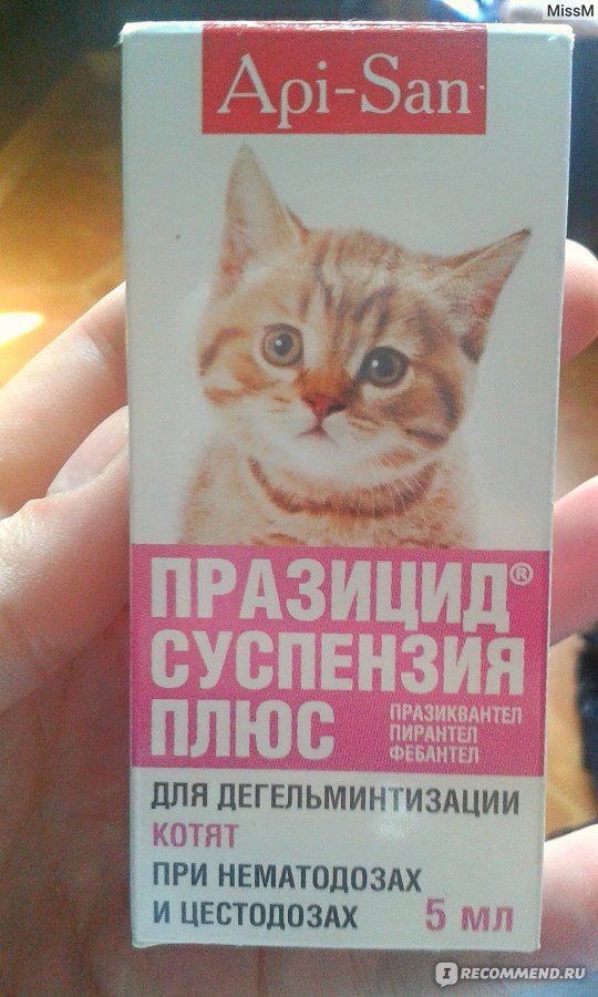 Празицид для кошек: препарат от паразитов