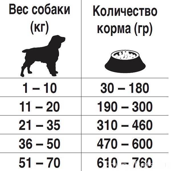 Сколько корма давать собаке в день таблица, проплан нормы кормления для щенков