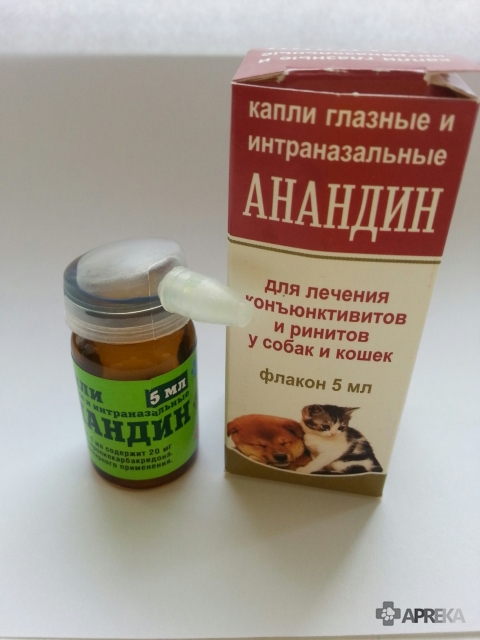 Максидин для кошек (капли и раствор для инъекций): действие, состав и правильный расчет дозировки