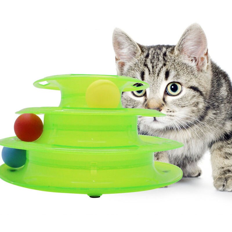 Насколько умны кошки и коты по мнению ученых? | hill's pet