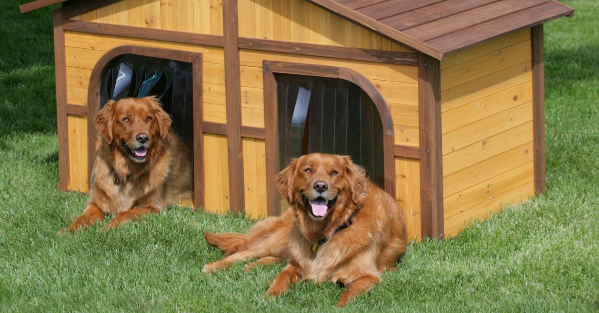 ≡ топ 13 ᐈ лучшие породы собак для охраны частного дома | woofy dog